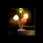 Mushroom Light