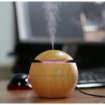 humidifan 4